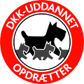 dkk